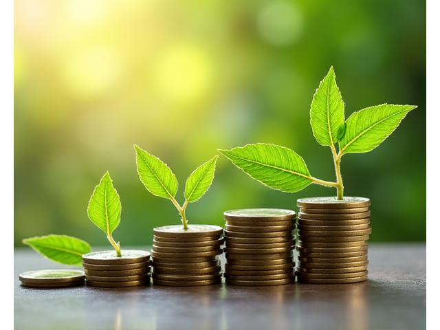 積み重ねられたコインと緑の葉が並び、経済的利益と環境保護を示唆